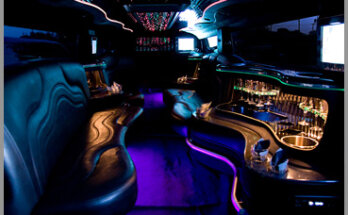 Party Bus Rental