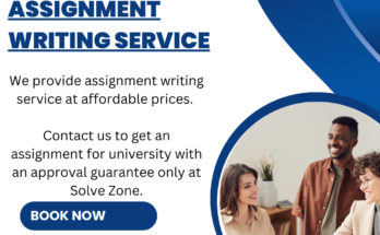 Assignment Writing Service in India