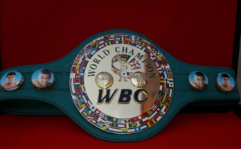 Boxing Belt