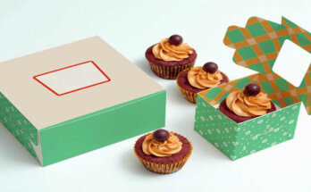 Cupcake Boxes