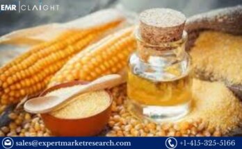 High Fructose Corn Syrup (HFCS) Manufacturing Plant Project Report