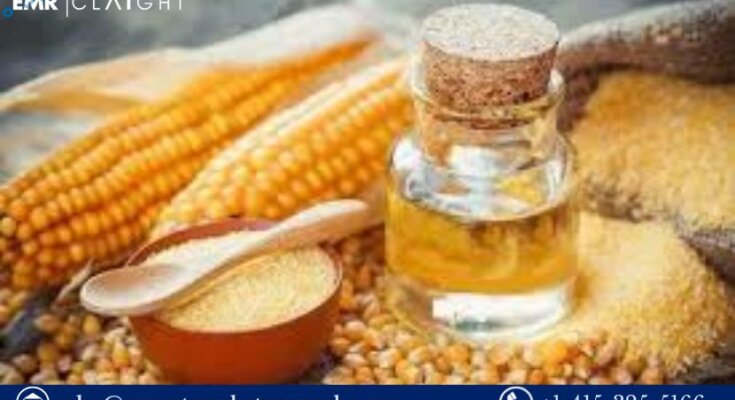 High Fructose Corn Syrup (HFCS) Manufacturing Plant Project Report