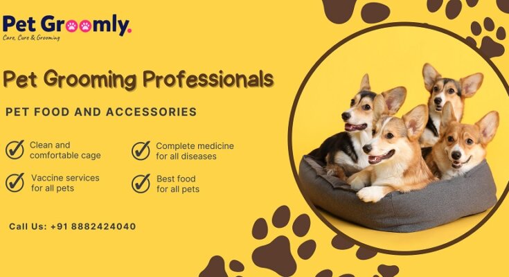 Pet Grooming Professionals