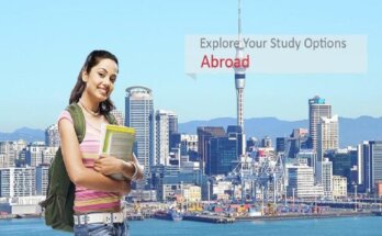 Study Abroad Consultants in Lahore