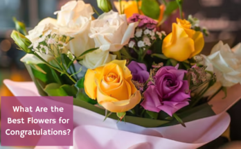 What Are the Best Flowers for Congratulations