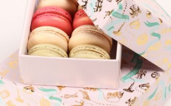 macaron boxes