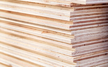 plywood