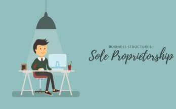 sole propritership