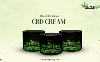 CBD Pain Relief Cream: Your New Go-To Remedy