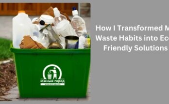 How I Transformed My Waste Habits into Eco-Friendly Solutions