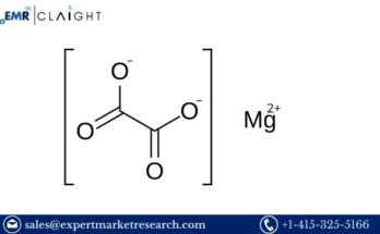 Magnesium Oxalate Manufacturing Plant Project Report