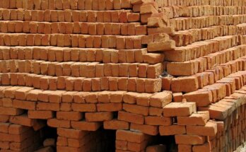 Niazi Bricks