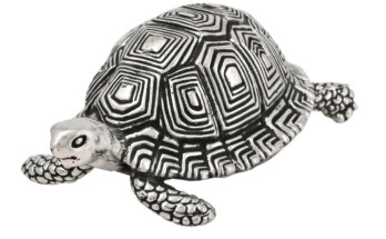 tortoise silver