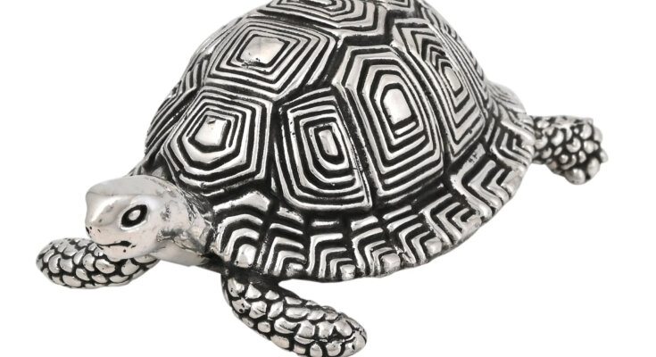 tortoise silver