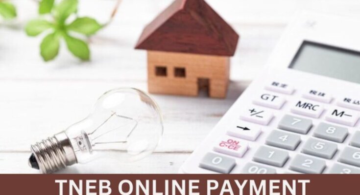 TNEB Online Payment