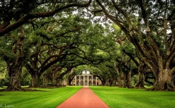 New Orleans Plantation Tours