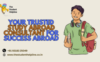 study abroad consultant