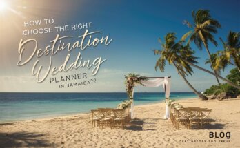 How to Choose the Right Destination Wedding Planner in Jamaica?