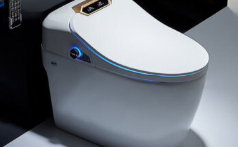 smart toilet