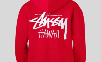 Unique Stussy Hawaii Hoodie: Perfect for Special Global Events