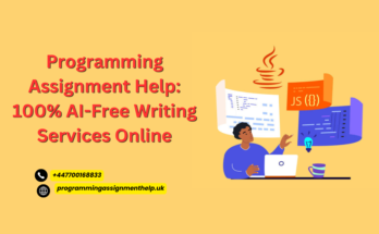 Programming Assignment Help