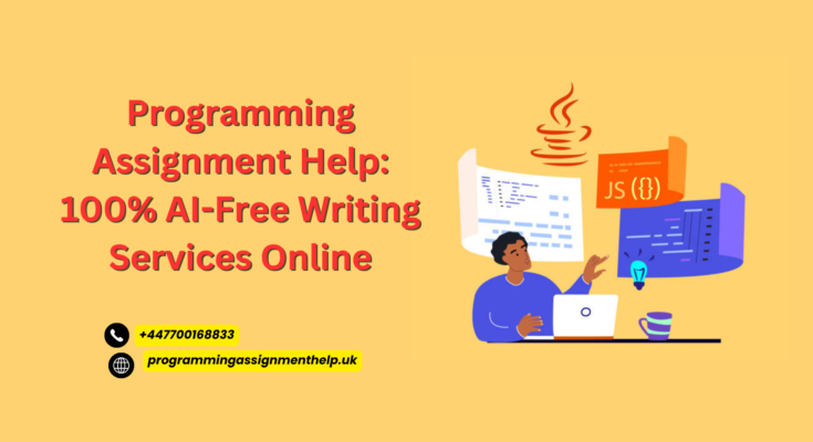 Programming Assignment Help