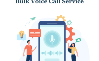 voice calls