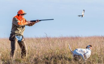 Tips for a Successful Hunt at Iowa's Premier Hunting Preserves