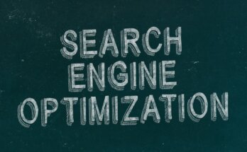 best seo expert india