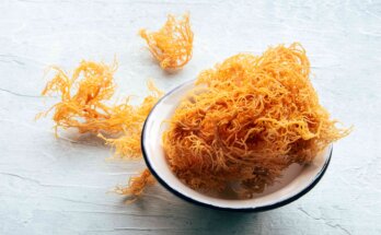 Irish sea moss