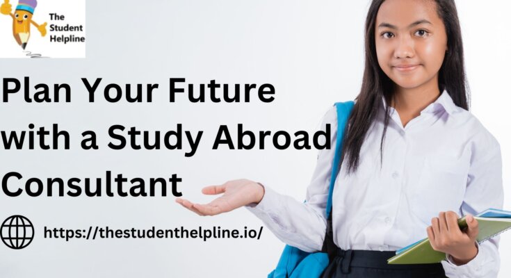 Plan Your Future with a Study Abroad Consultant